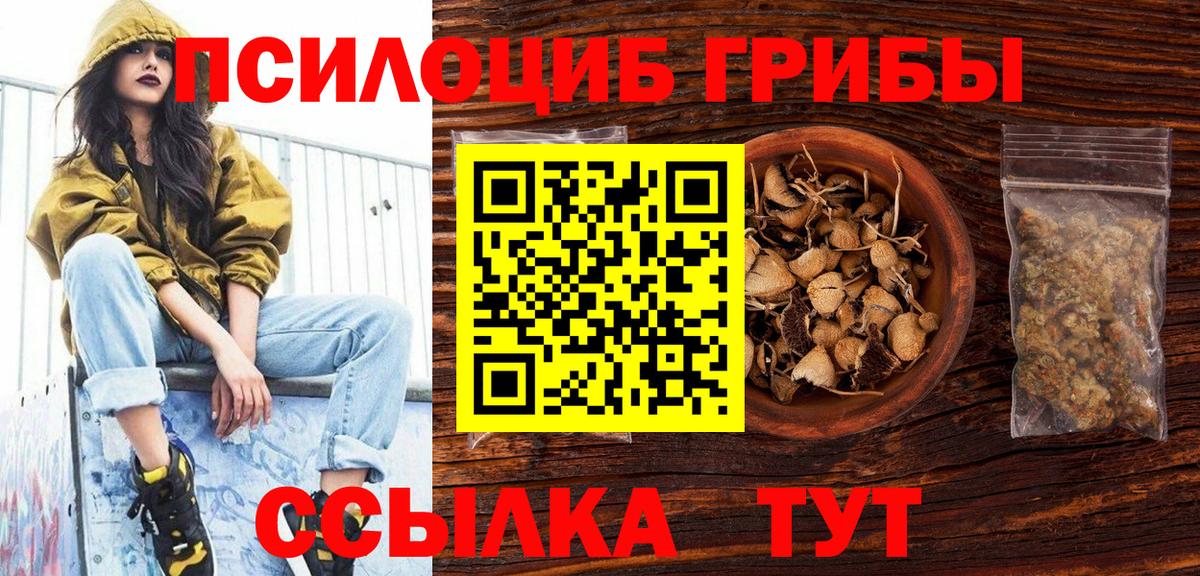 Галлюциногенные грибы GOLDEN TEACHER Нерюнгри