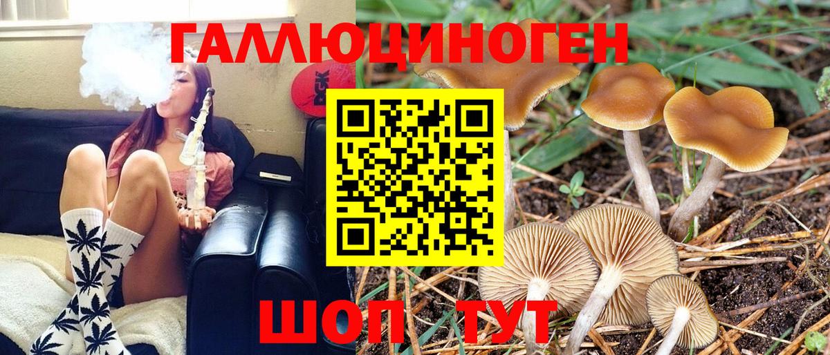 магазин продажи наркотиков  Галлюциногенные грибы Psilocybe  Вход с VPN  Нерюнгри 